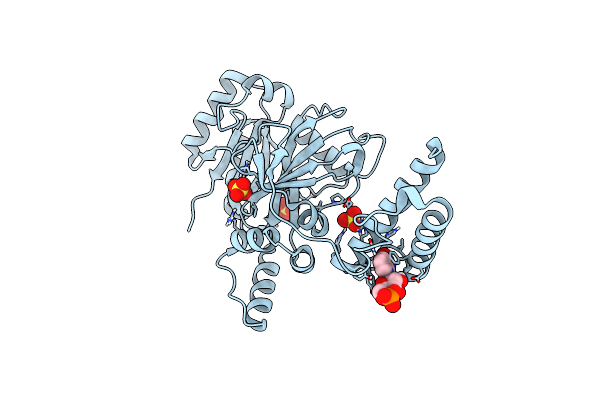 6KSD image