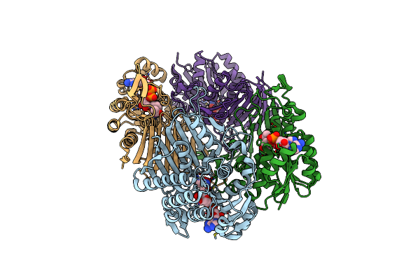 6KTL image