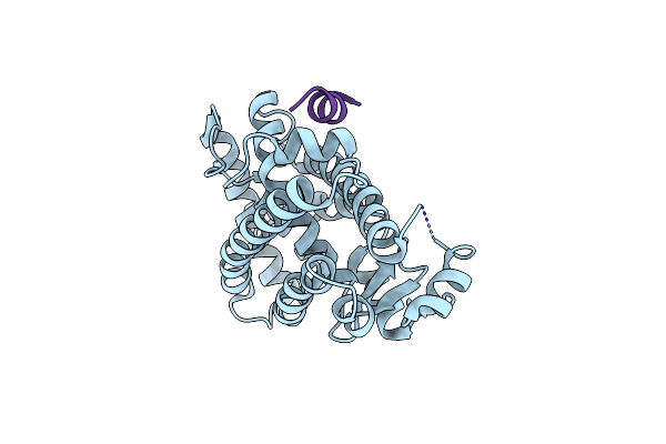 6KTM image
