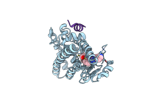 6KTN image