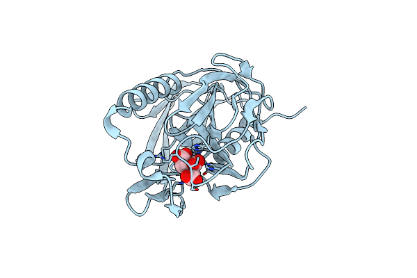 6KV1 image