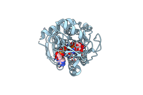 6KV9 image