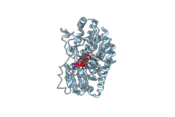 6KVJ image