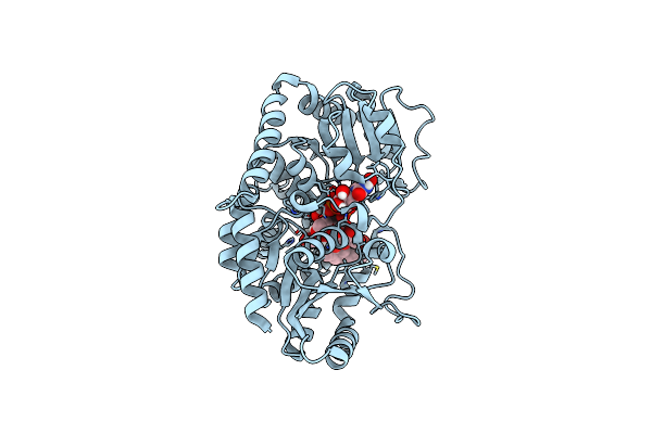 6KVL image