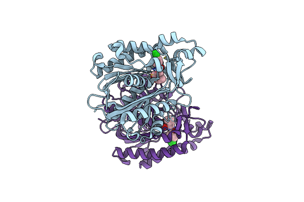 6KVS image