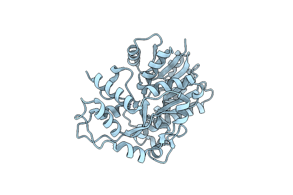 6KWS image