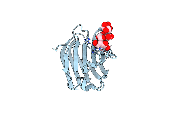 6KXB image