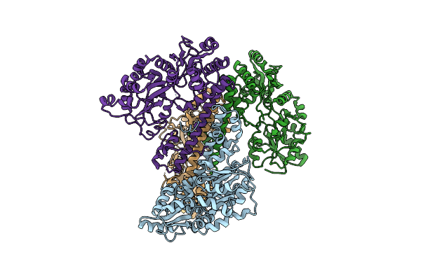 6KXG image