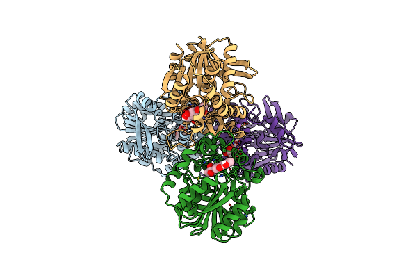 6KXH image