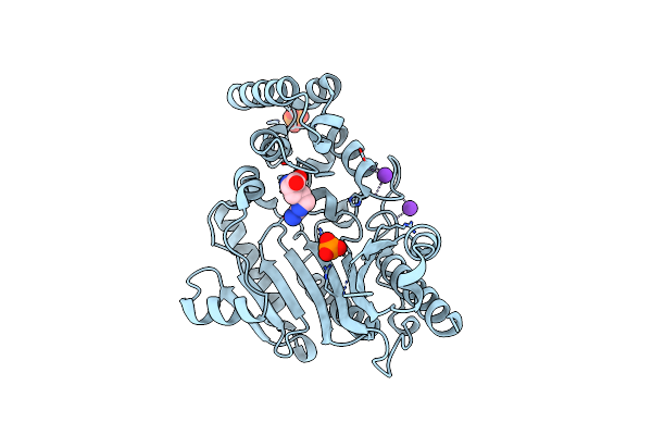 6KY3 image