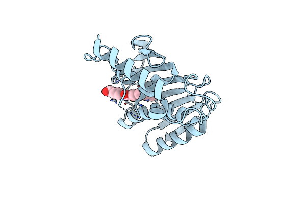 6KZZ image