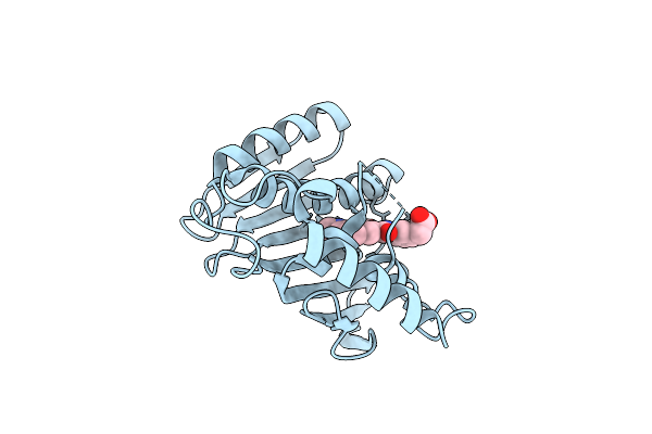6L01 image