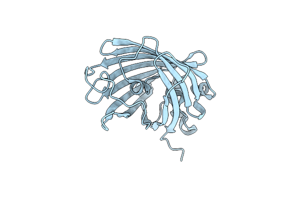 6L02 image