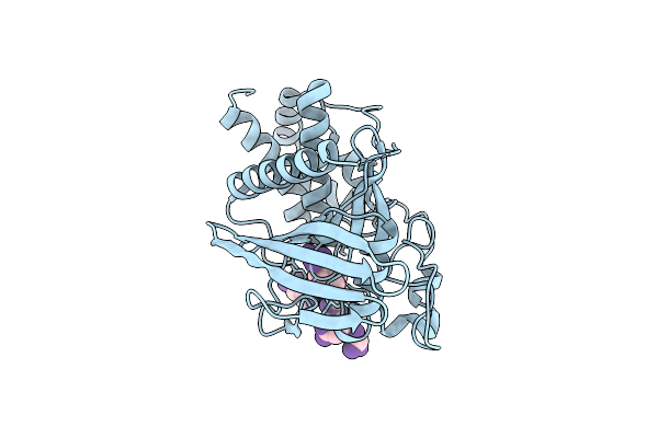 6L03 image