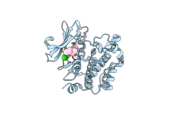 6L11 image