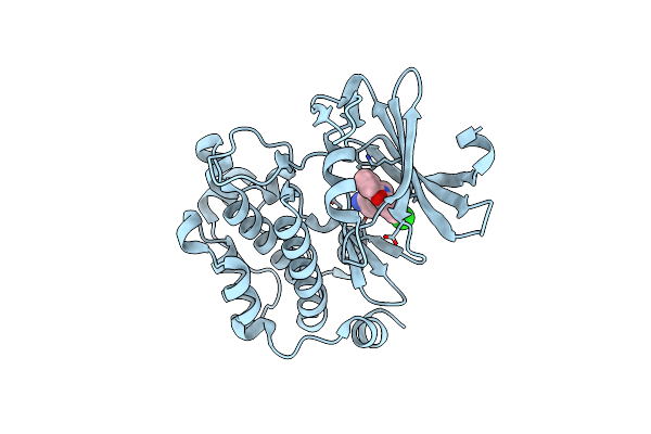 6L12 image