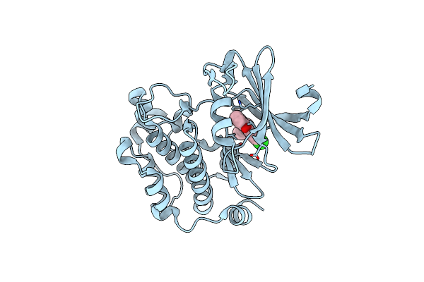 6L13 image