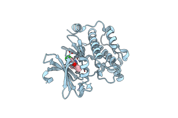 6L14 image