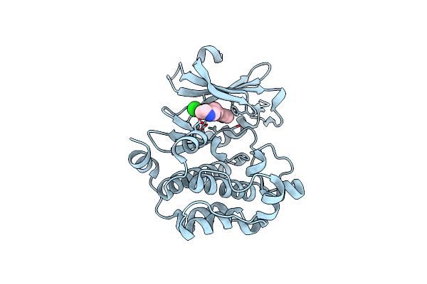 6L15 image