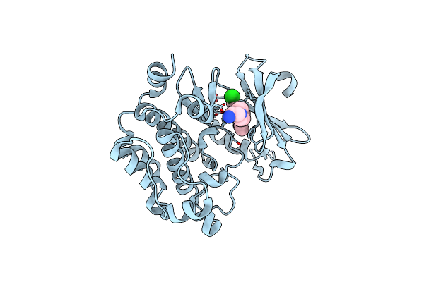 6L16 image