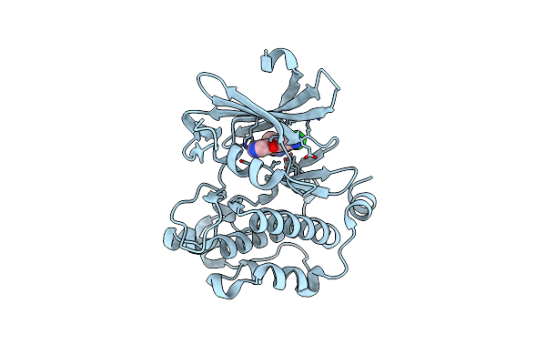 6L17 image