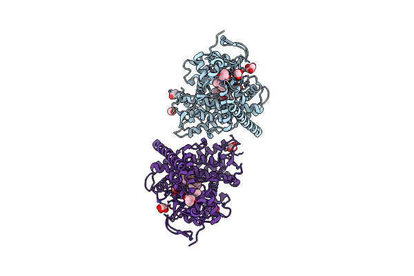 6L1B image