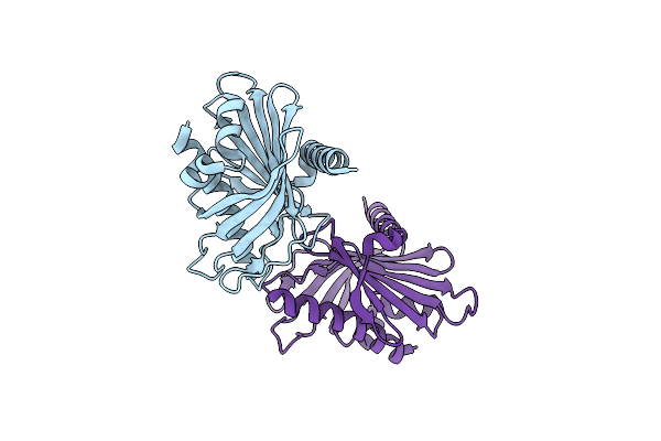 6L1D image
