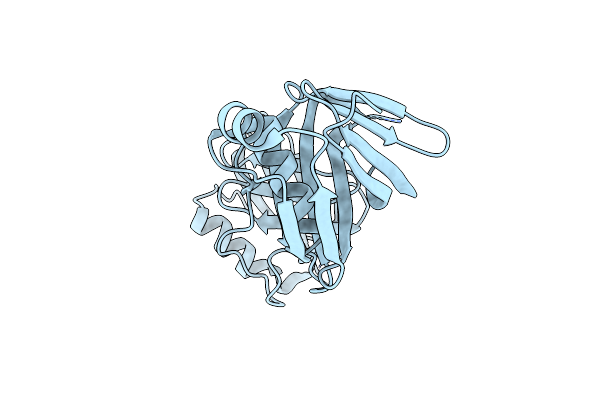 6L1E image