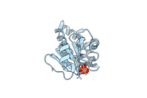 6L1S image