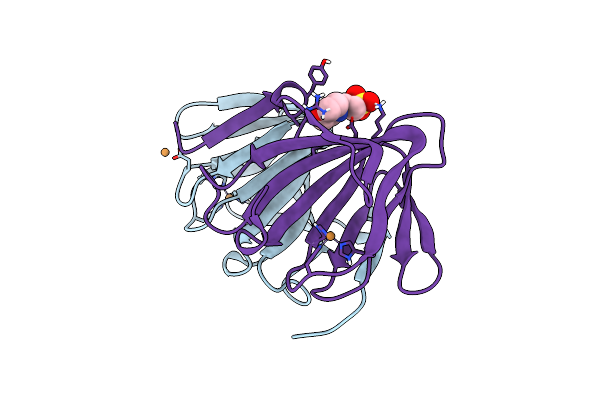 6L2E image