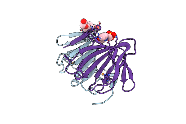 6L2F image