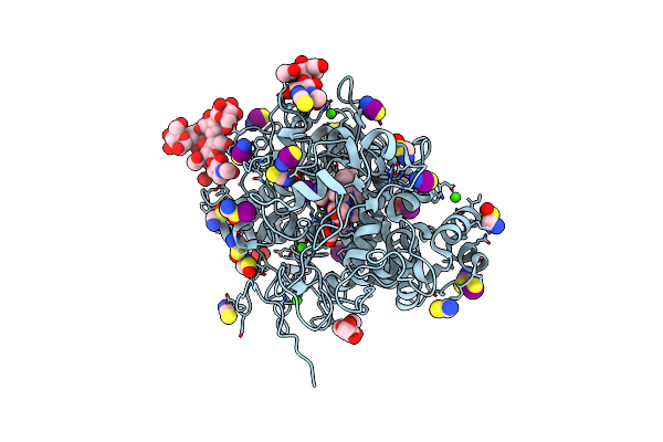 6L2J image