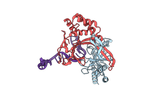 6L2O image