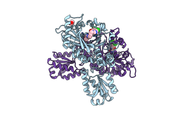6L2Q image