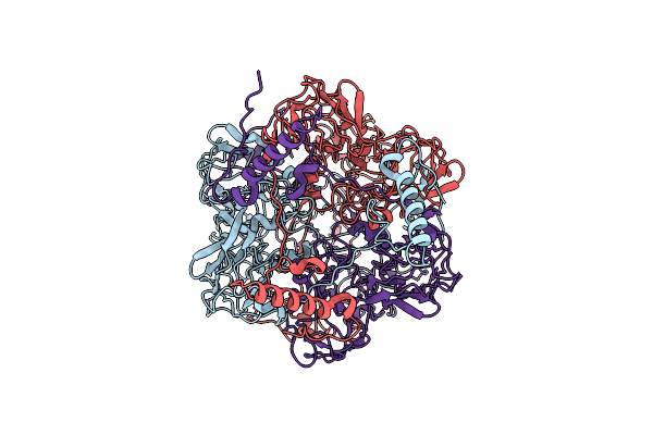 6L2T image