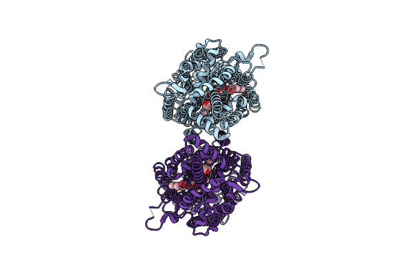 6L3H image