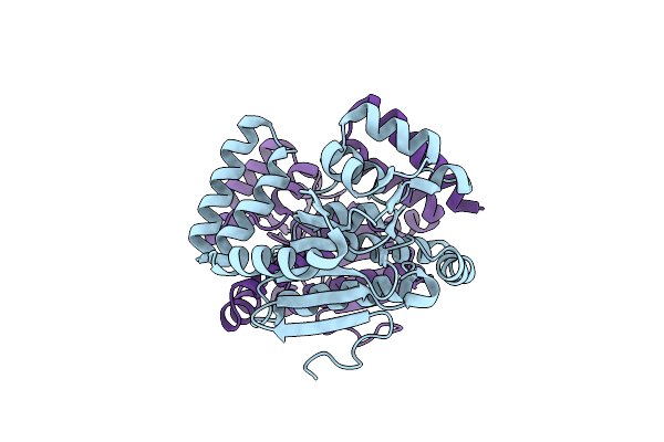 6L3O image
