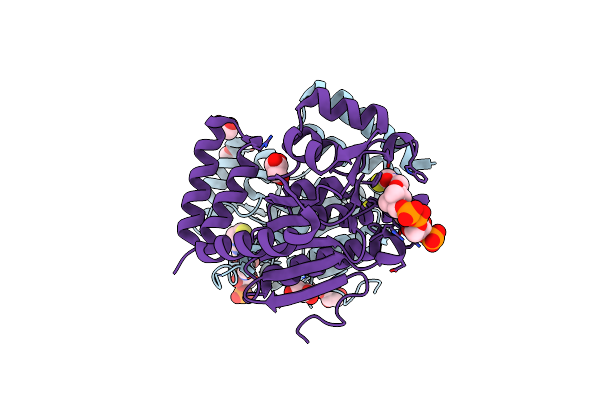 6L3P image