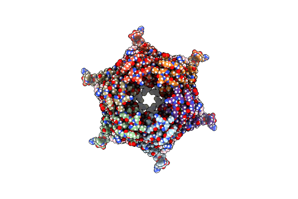 6L3T image
