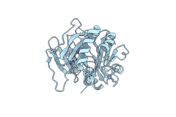 6L3W image