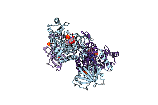 6L3Y image
