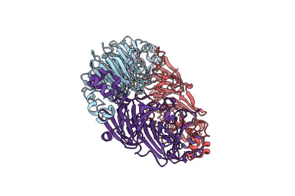 6L4C image