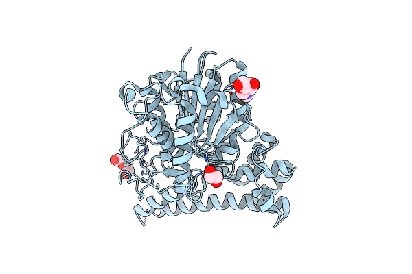 6L4W image