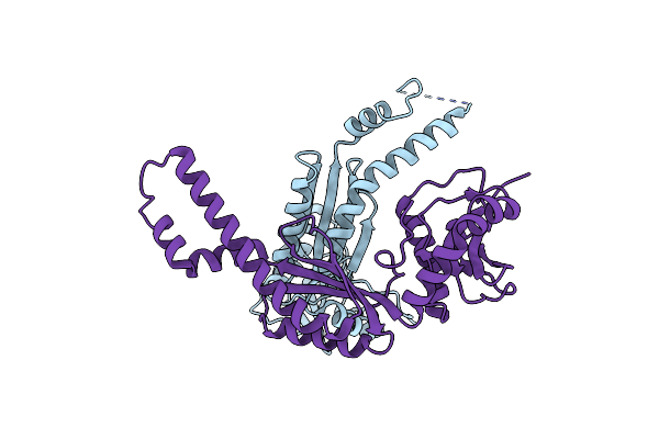 6L5D image