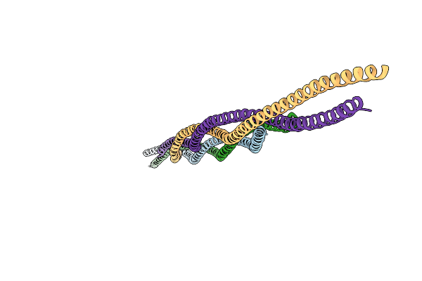6L5J image