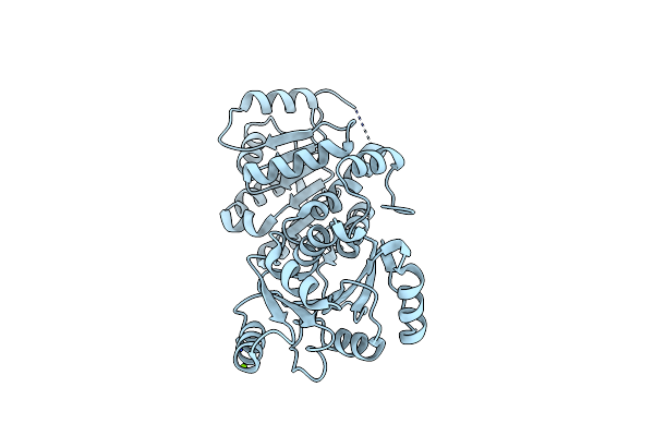 6L5L image