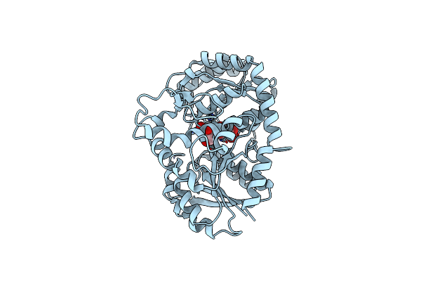 6L5P image
