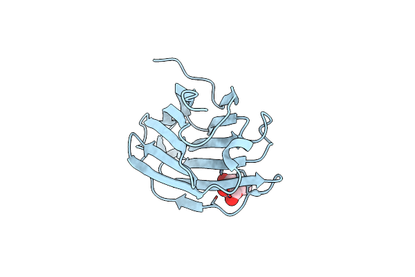 6L6B image