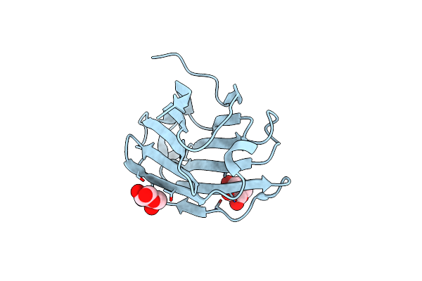 6L6C image