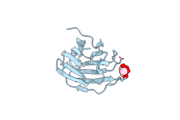 6L6D image